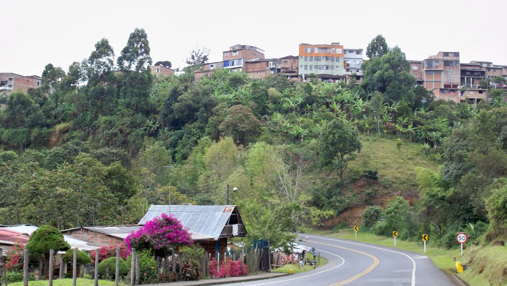 Piendamó - Cauca
